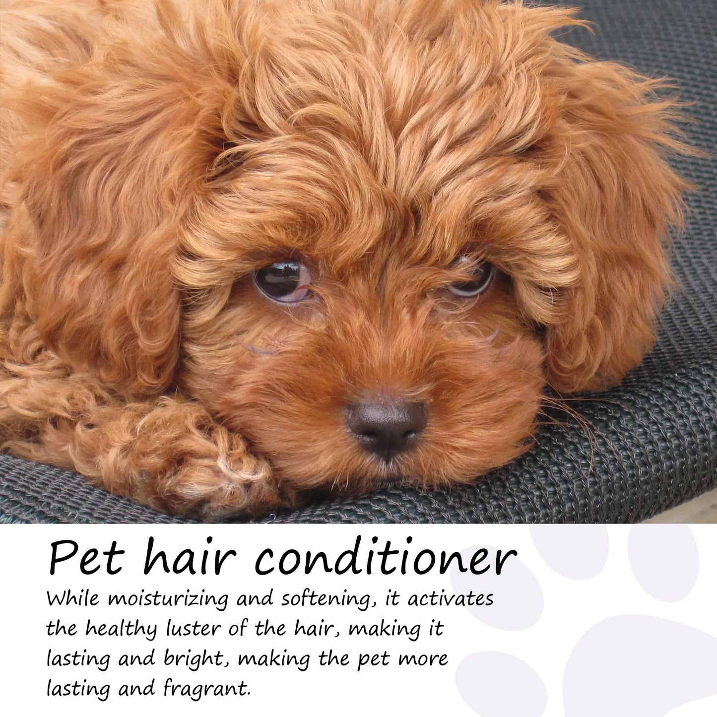 50ml Non-Knotted Pet Hair Care Cream Moisturizes Care Conditioner Dry Skin Pet Hair Conditioner for Pet Fur Hair Dogs