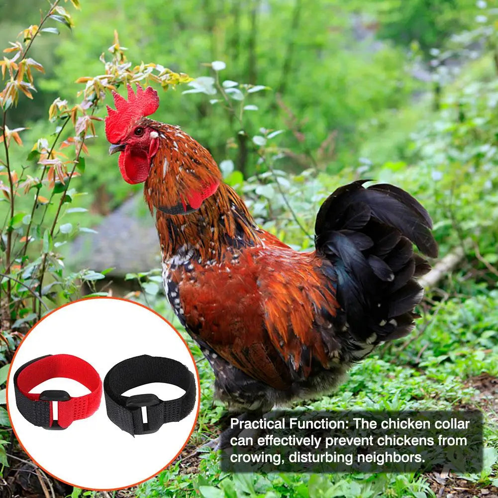 Rooster Noise-Free Anti-Hook Neckband Collar Chicken Collar No-Crow Rooster Collar Fowl Neckband Accessories For Farm Poultry
