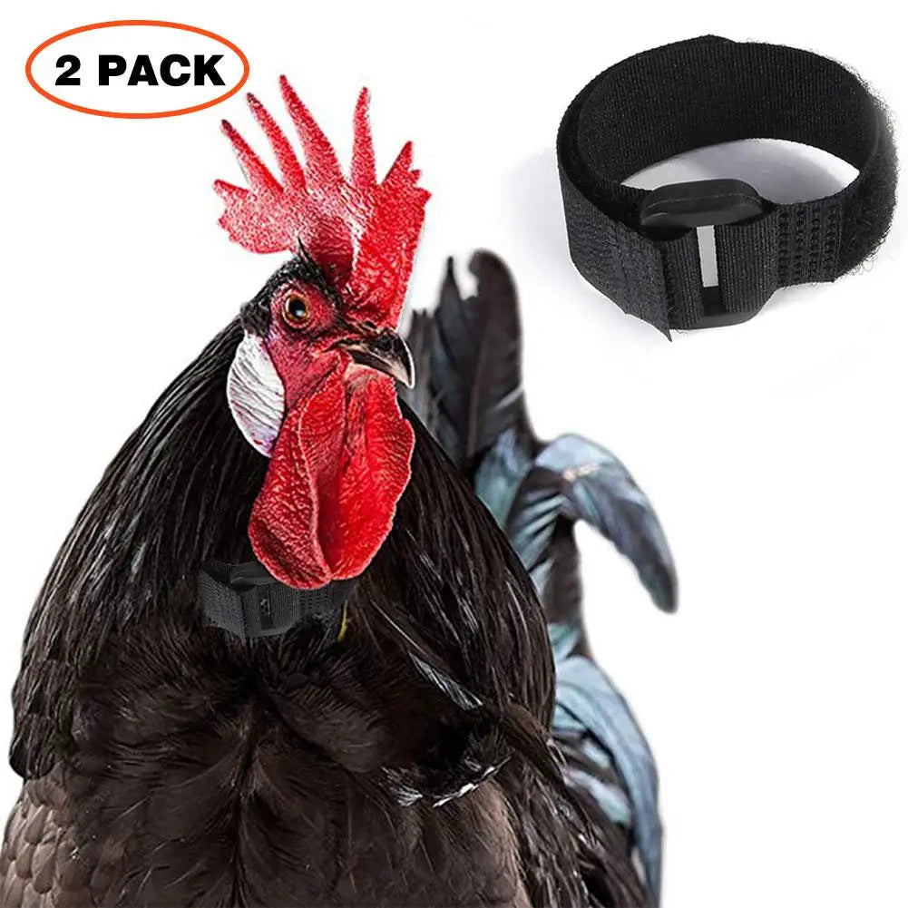 Rooster Noise-Free Anti-Hook Neckband Collar Chicken Collar No-Crow Rooster Collar Fowl Neckband Accessories For Farm Poultry