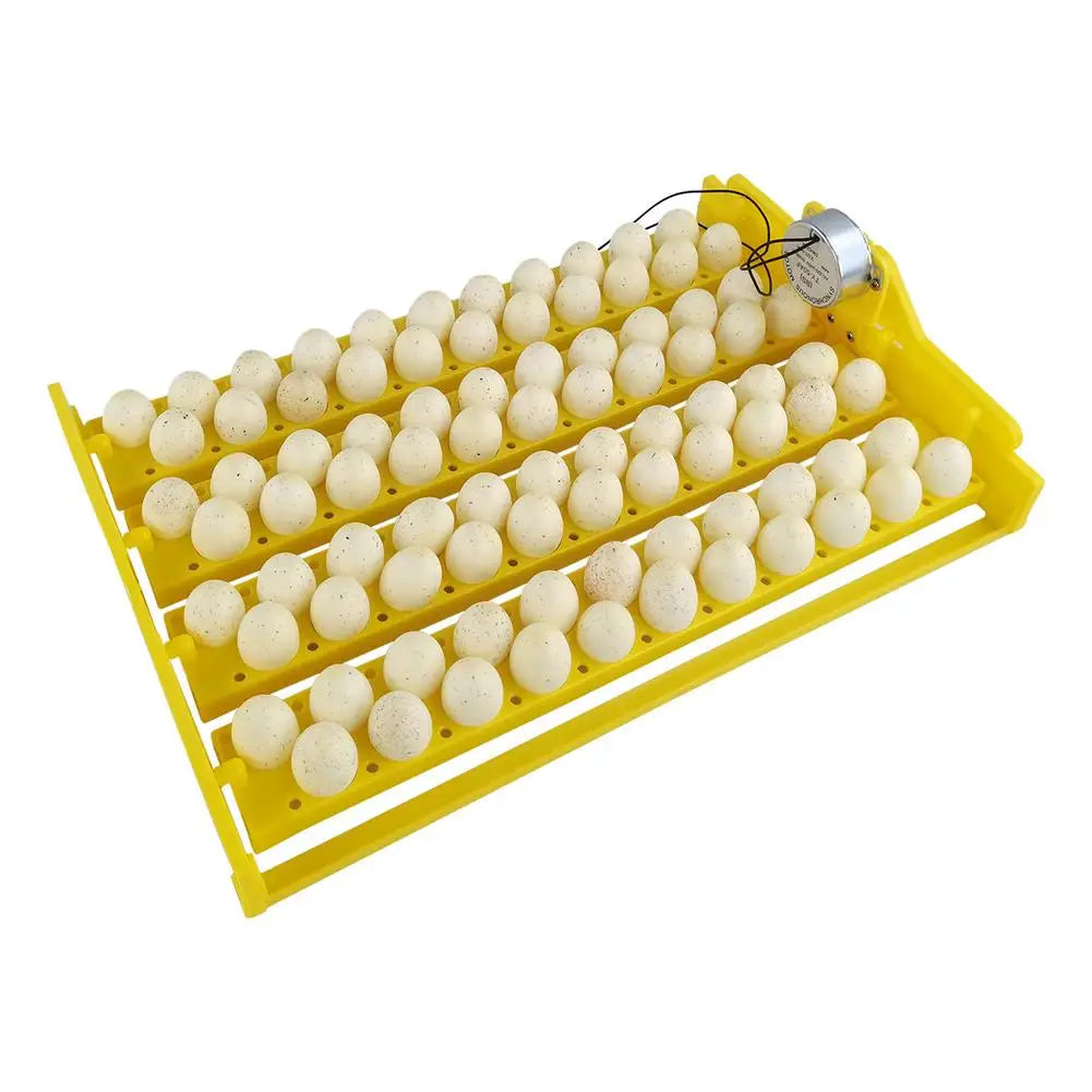 Eggs Incubator Automatic Incubator Hatching Chicken Eggs. Egg Tray Charged Poultry Hatcher Turner Automatic Farm Incubation Tools