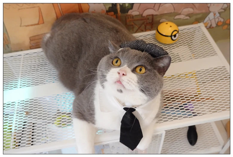 Funny Pet Cat Hat and tie Gentleman's Hat Beret Tie Bathing Blood Gangster Handsome Cosplay Photo Prop Pet Halloween Costume