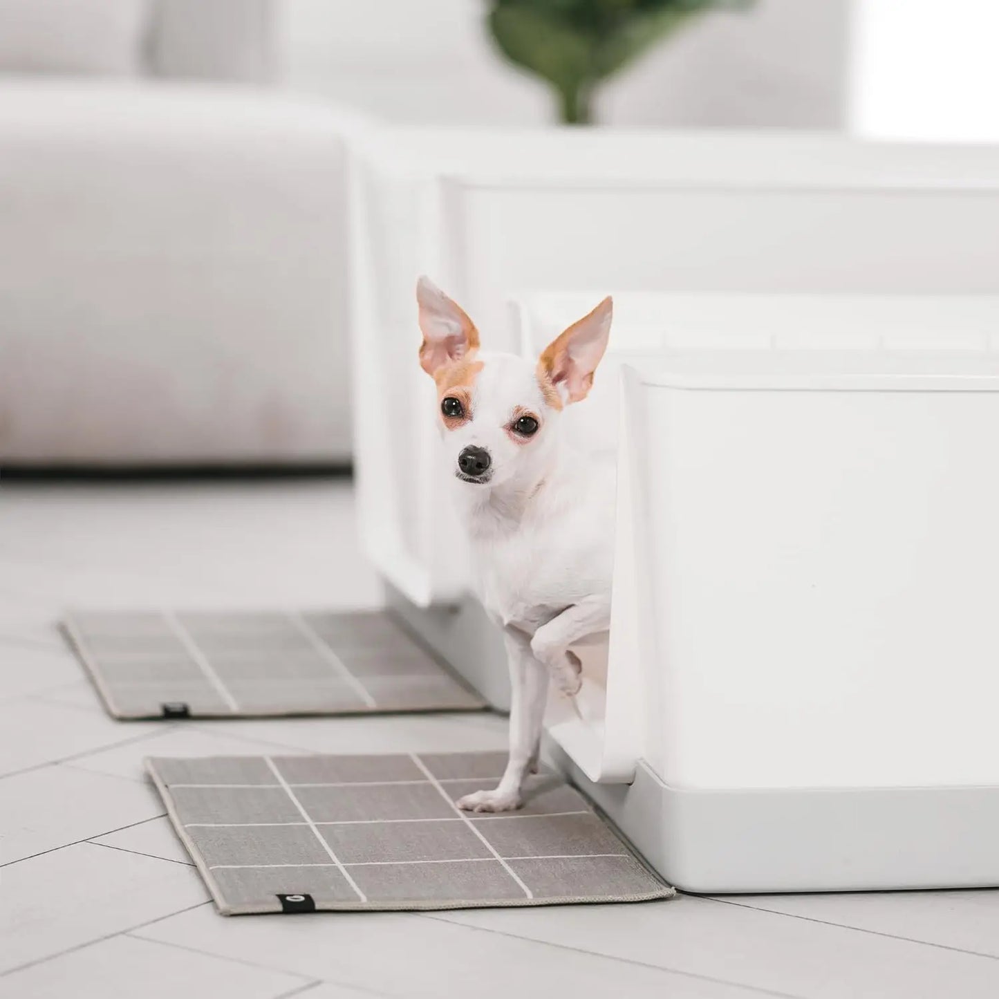Indoor Dog Toilet Solution - No Mess and Splash Guard - Potty Training Pad Holder