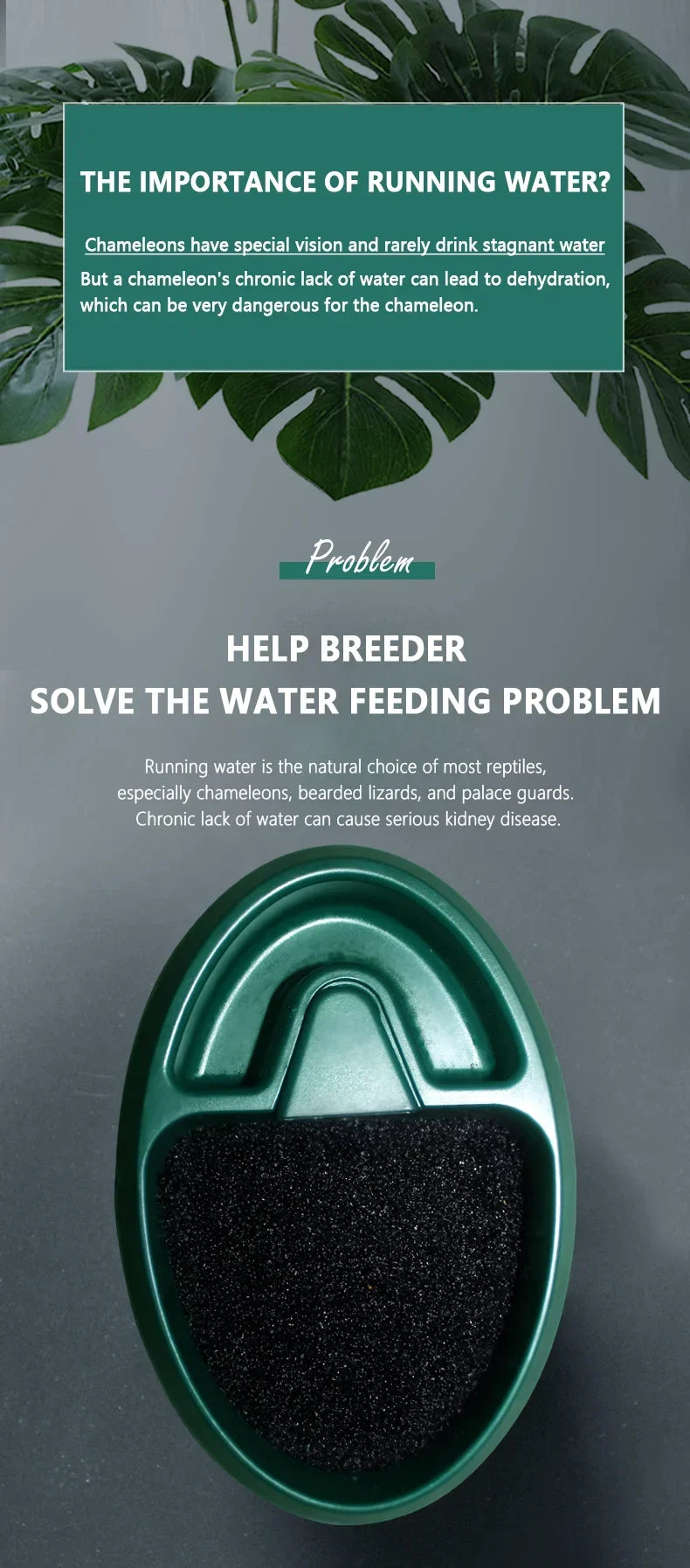Drink Fountain Water Reptiles Drinking Waterfall Automatic Feeding Water Reptile Accessories for Tortoises Horned Frogs