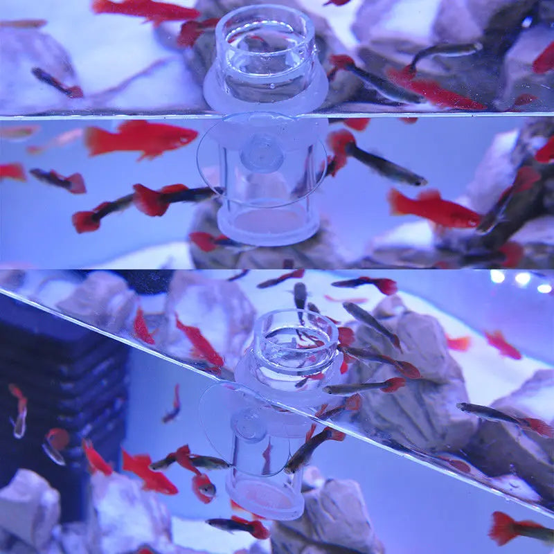 Clear Acrylic Aquarium Fish Feeder Anti-drift Shrimp Egg Fish Food Feeding Ring Betta Fish Tank Feeding Cup Aquarium Accessories