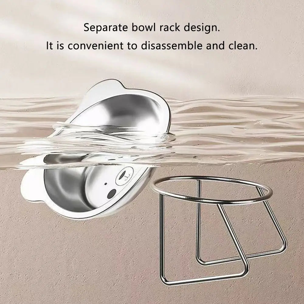 304 Stainless Steel Raised Cat Bowl with 15° Elevated Design Tilted Neck Guard Healthy Feeding Shatterproof for Cats Puppies