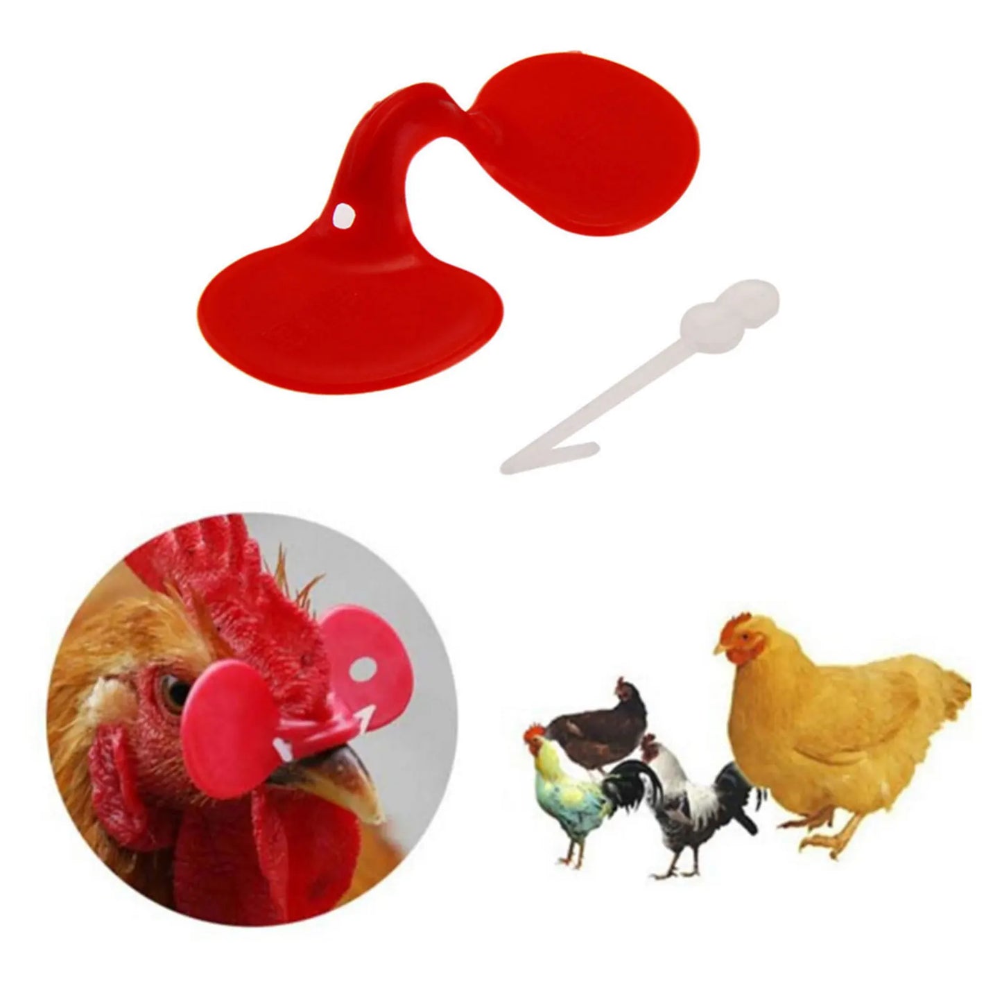 60 Pieces Pinless Chicken Anti-Pecking Chicken Supplies With Bolt Anti-fight Pheasant Poultry Spectacles Blinders