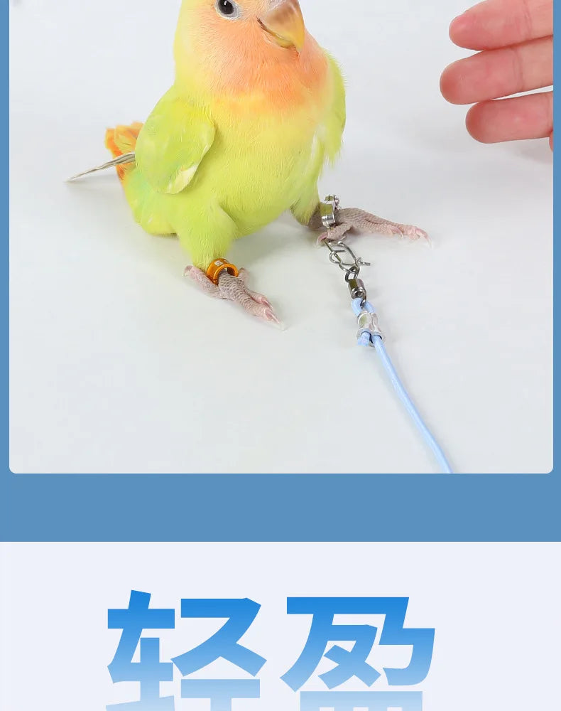 Parrot Bird Flying Training Leash Ultra-light Flexible Rope Anti-bite Leg Ring Harness Outdoor Macaw Cockatiel Starling