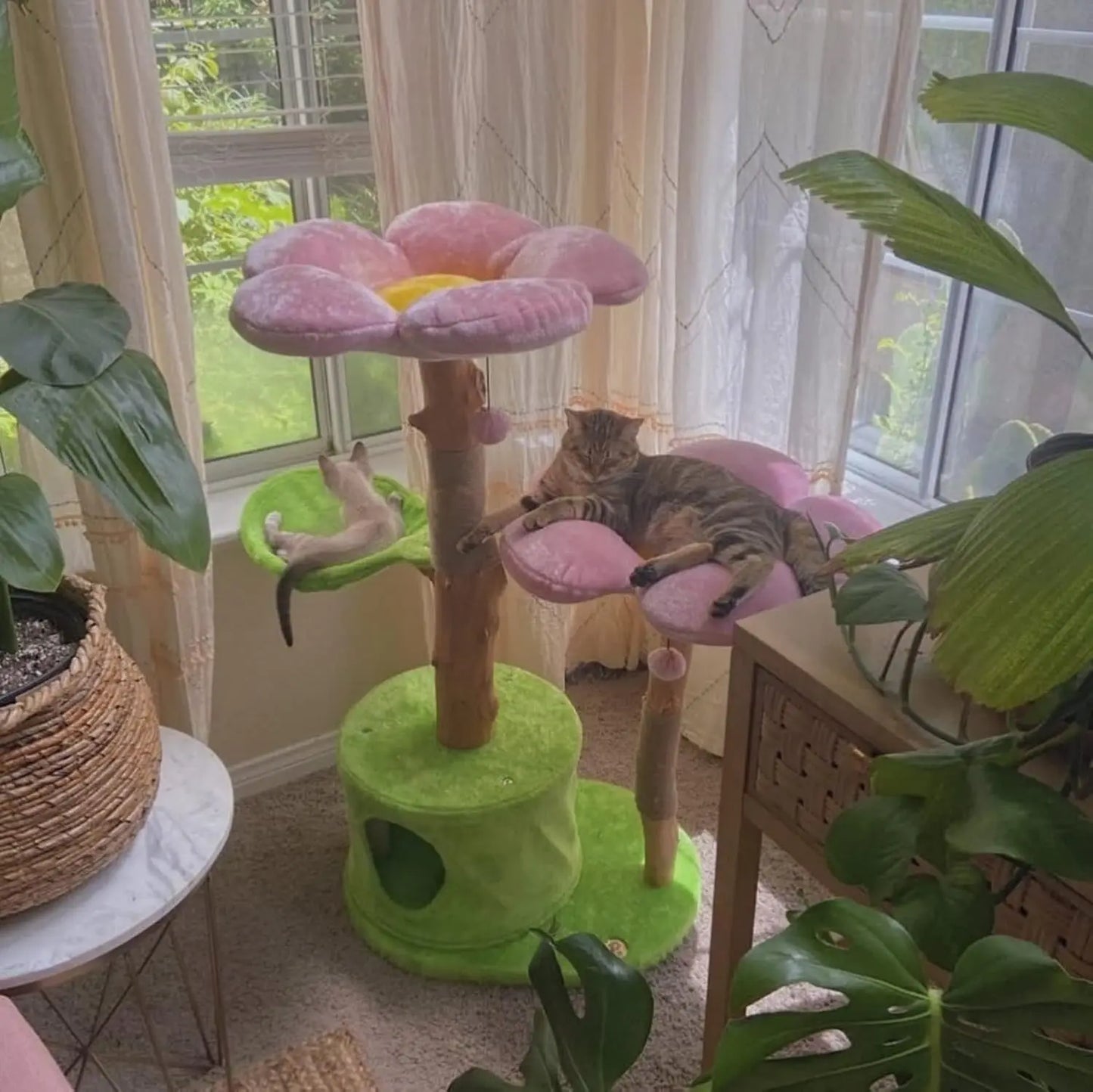 Wood Floral Cat Tree Tower Modern Cat House Furniture Gift Luxury Condo Flower Cherry Blossom