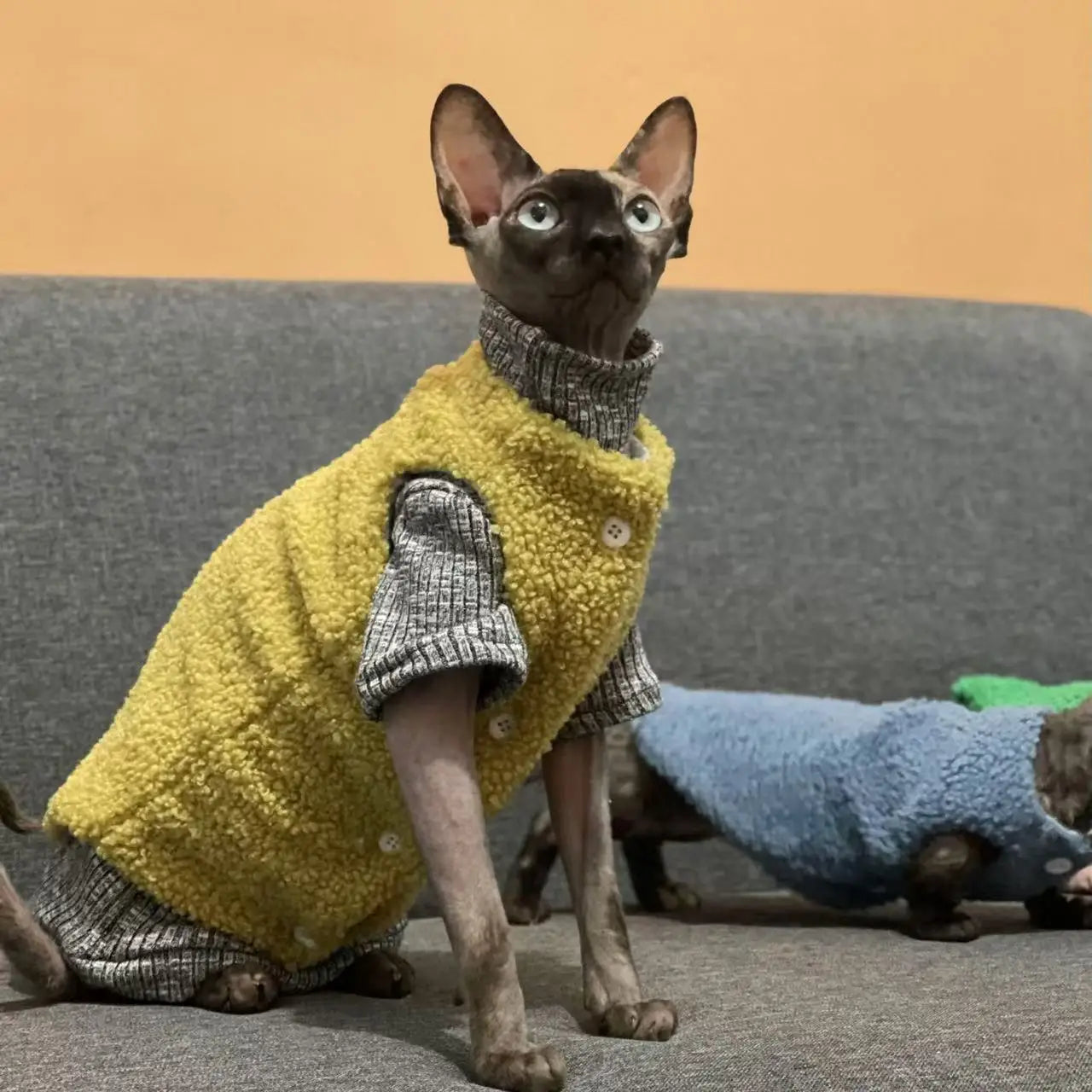 Cat clothes, warm lamb wool vest, autumn and winter Teddy Pomeranian pet winter clothes, cute clothes