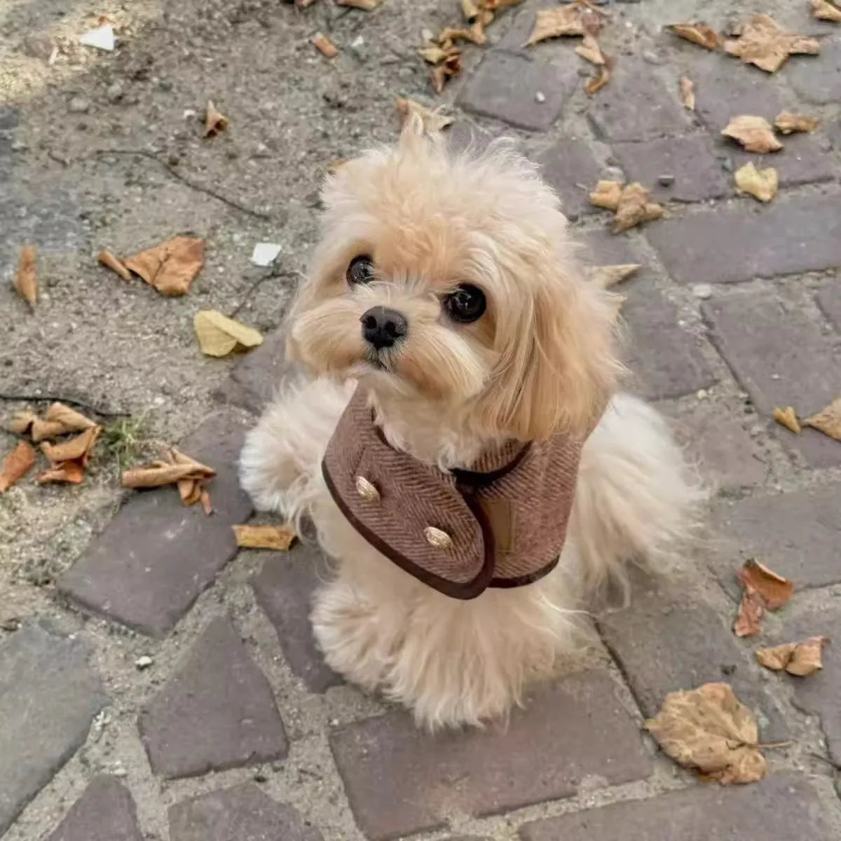 Fashionable British-Style Brown Pet Coat With Woolen Fabric - Dog Clothing