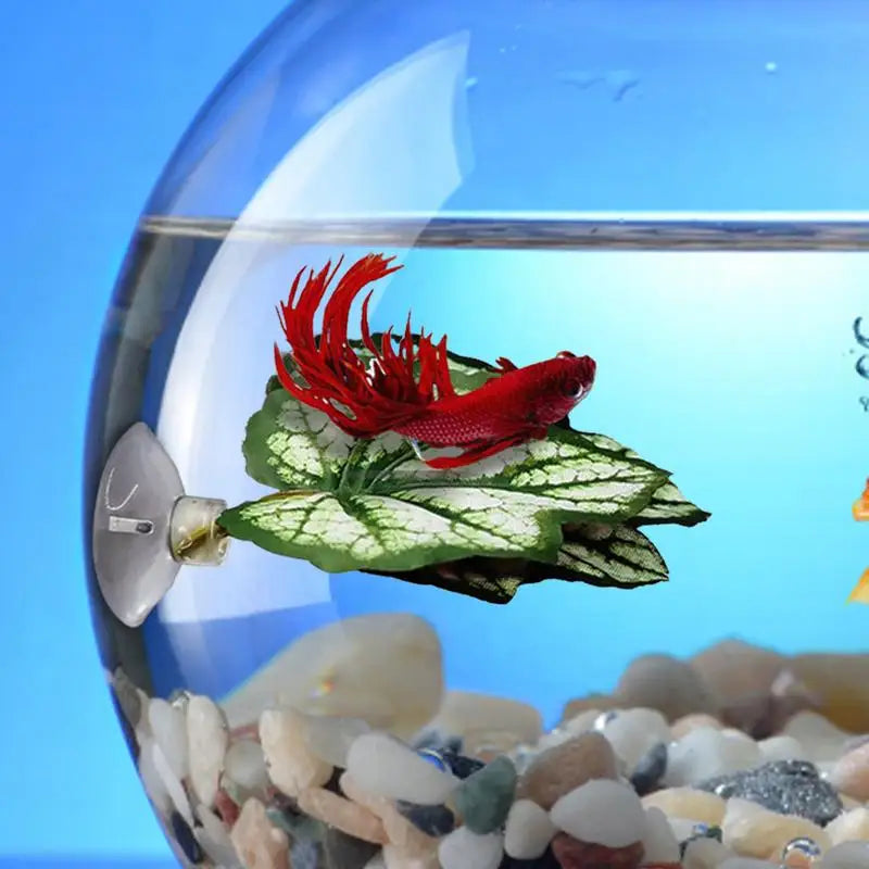 Betta Fish Leaf Hammock Fish Tank Accessories Spawning Grounds Breeding Resting Bed