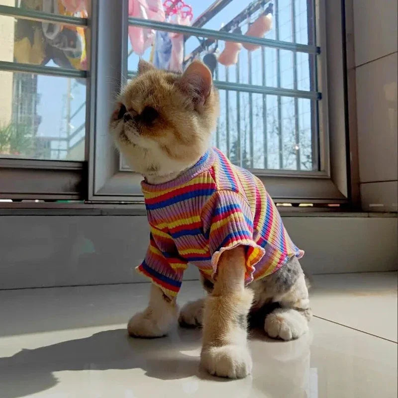 Spring Cotton Pet Cat Clothes for Cats Clothing Sweet Stripe Sphynx Cat Vest Shirt Hairless Cats