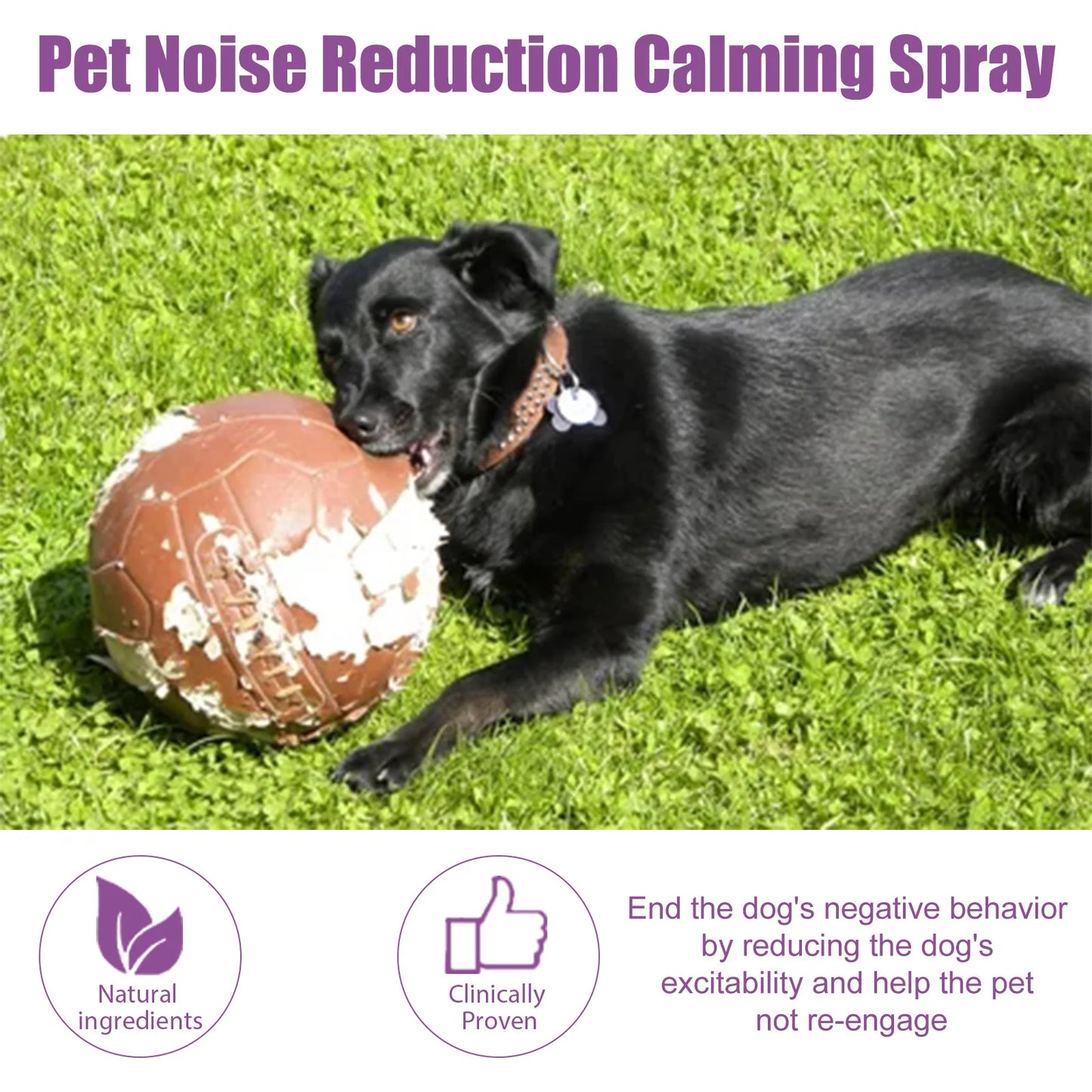 Pet Teeth Cleaning Spray for Cats & Dogs Stain Remover & Deodorizer Spray Fresh Breath Pet Oral Care