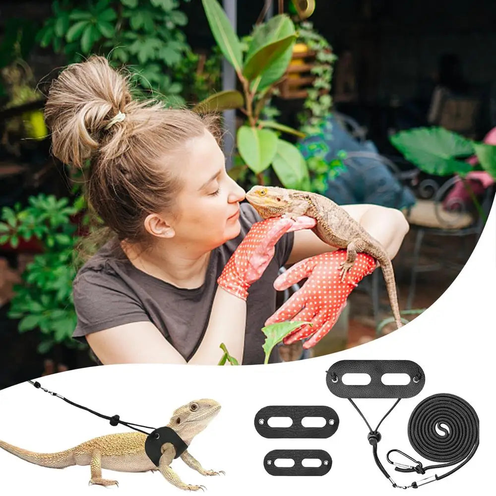 Bearded Dragon Lizard Harness Detachable Adjustable Reptile Lizard Rope 3 Sizes Reptile Lizard Harness Escape Proof