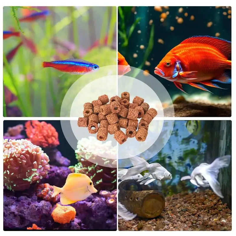 Plant Ring Aquarium Plants l Aquatic Media clay Rings Anti-Floating Aquarium Plant Pot Holder for Aquarium Landscape