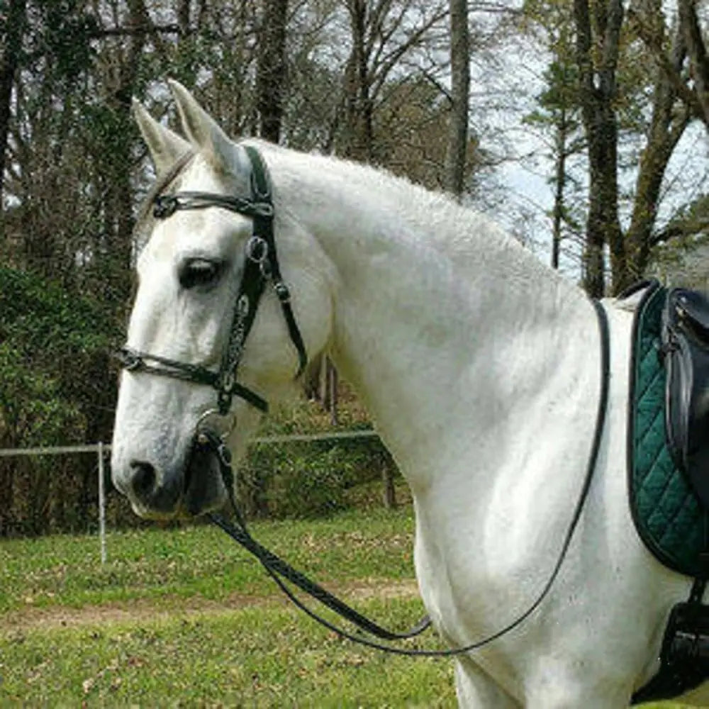 PU Leather Horses Bridle Halters Comfortable Metal Buckles Horse Reins Durable Adjustable Horse Head Stall