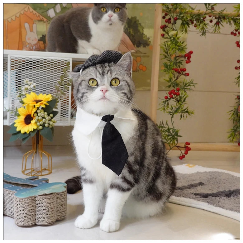 Funny Pet Cat Hat and tie Gentleman's Hat Beret Tie Bathing Blood Gangster Handsome Cosplay Photo Prop Pet Halloween Costume
