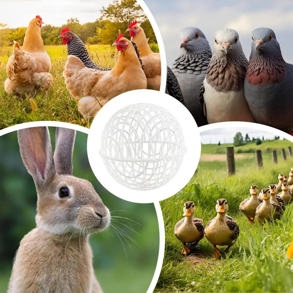 3Pieces Chicken Ball Cage PVC Movable Spherical Chicken Cage Round Rabbit Cage Can Roll And Walk To Feed Free Range Chicken Cage