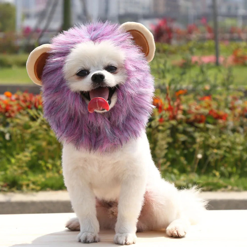 Cat Costume Cute Lion Mane Wig Hat for Cat Puppy Dog Decor Accessories Lion Kitten Cat Wig Fancy Hair Cap Halloween Pet Supplies