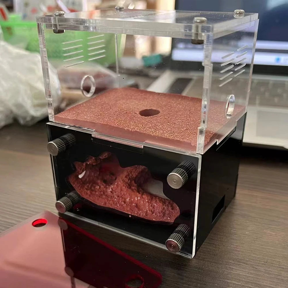 Acrylic Ant Farm Newbie The Concrete Ant Nest With Moisturizing Water Tower Queen Ant Breeding Insect House Anthill Workshop