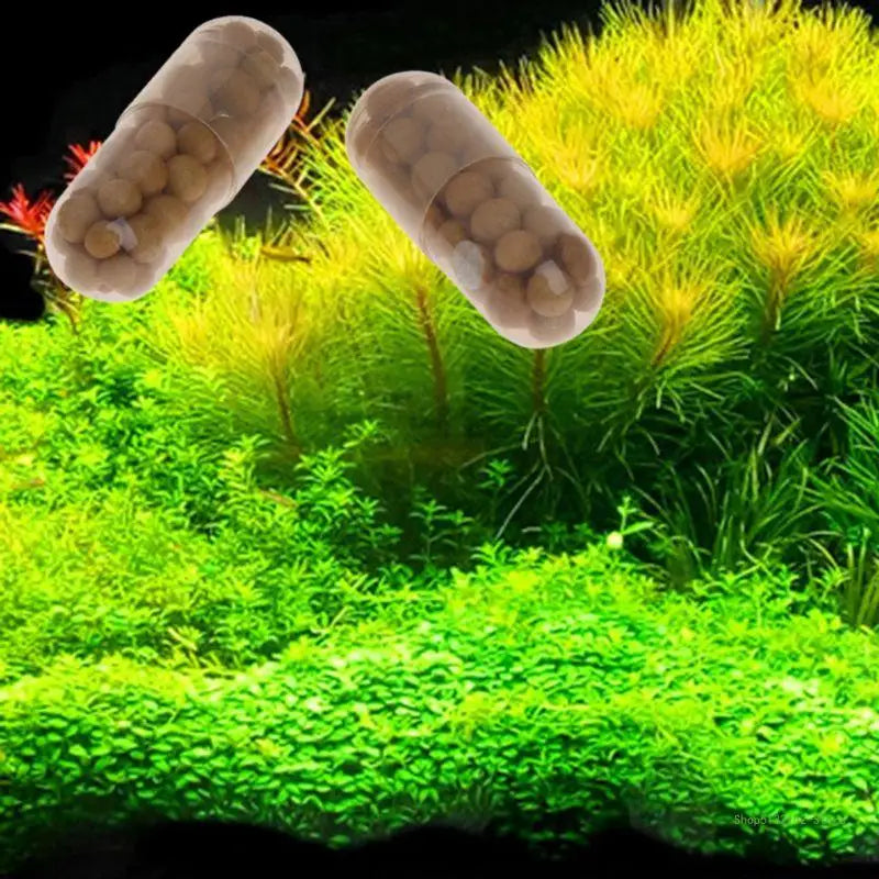 QX2E Aquarium Live Plant Fertilizer Root Tabs Qty 40 Capsules Best for Fish for Tank Aquatic Plants Indoor Outdoor Green Plan