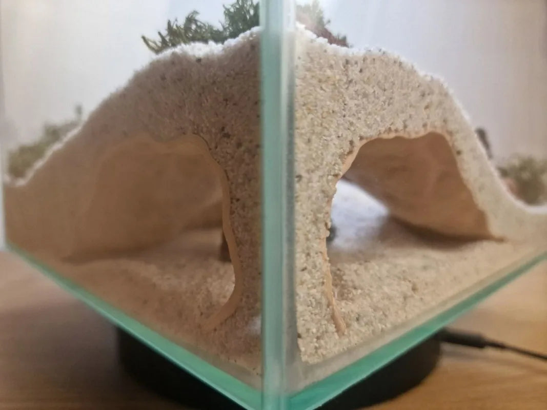 Fish Tank Underground Cave for Fish Shrimp Reptile Shelter Hiding Houses, Landscaping Ornaments 3D Printing Aquarium Decorations
