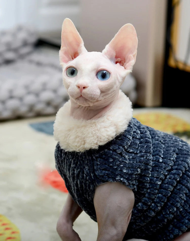 Devon Rex Thickening Plush Coat Cat Sweater Costume Sphinx Clothes Kitten Sphynx Pullover Clothing Products for Winter Outwear