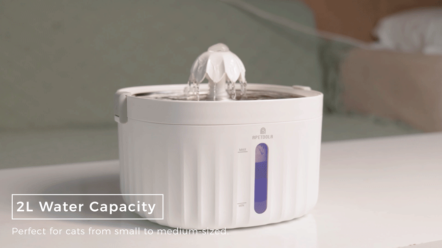 Cat Water Fountain Automatic Pet Water Dispenser for Cats Dogs with Stainless Steel Tray 6-level Filtering System fp10