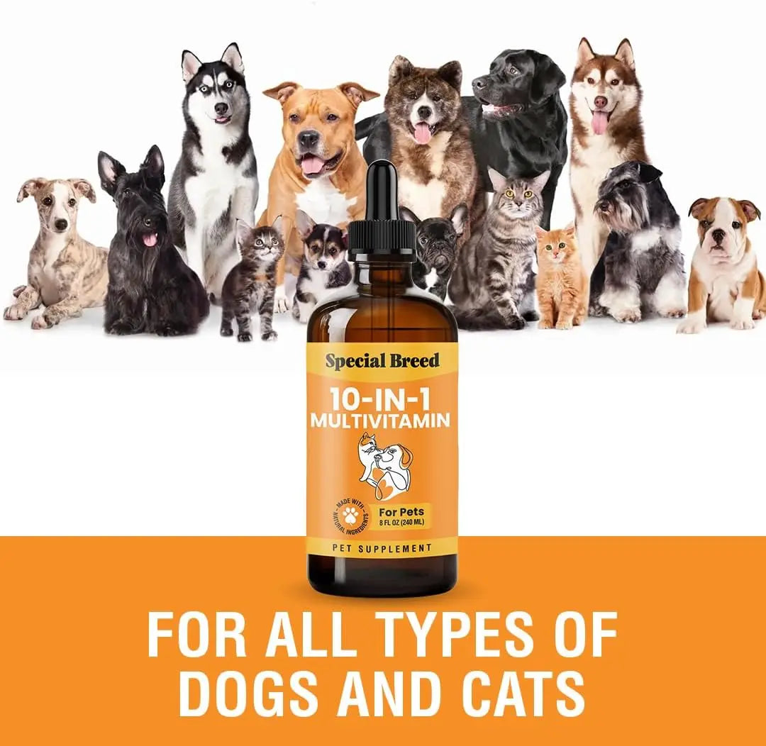 8 Ounce (Pack of 1)10-in-1 Liquid Multivitamin for Dogs and Cats, 8 Ounce Multi Vitamin Supplement, Vitamin for Dogs, Cats,