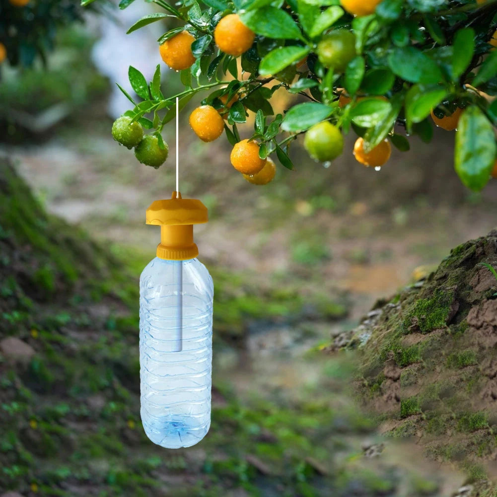 1-20PCS Fruit Killer Plastic Yellow Drosophila Trap Fly Trap Killer Cover Fly Catcher Pest Insect Control For Home Farm