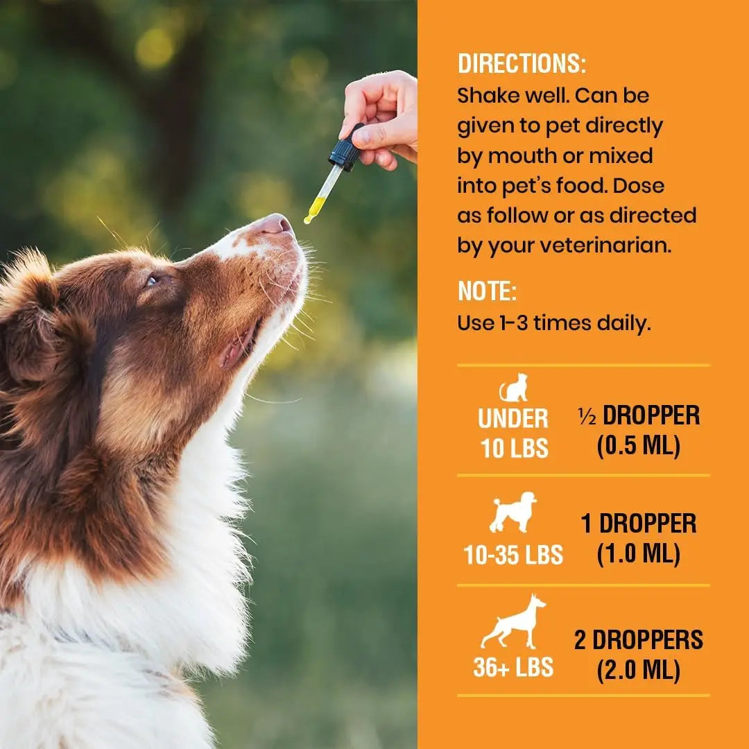 8 Ounce (Pack of 1)10-in-1 Liquid Multivitamin for Dogs and Cats, 8 Ounce Multi Vitamin Supplement, Vitamin for Dogs, Cats,