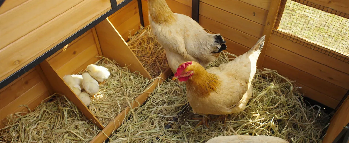 Large Chicken Coop with Metal Frame Mobile Hen House Poultry Cage with Wheels for 4-6 Chickens 85" L