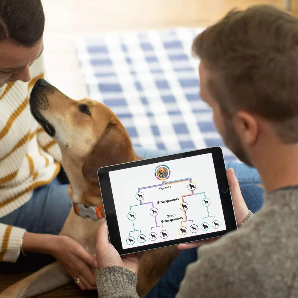 Breed Identification Kit - Most Accurate Dog DNA Testing Kit - 99% Breed Ancestry Accuracy for Mixed Breed Dogs