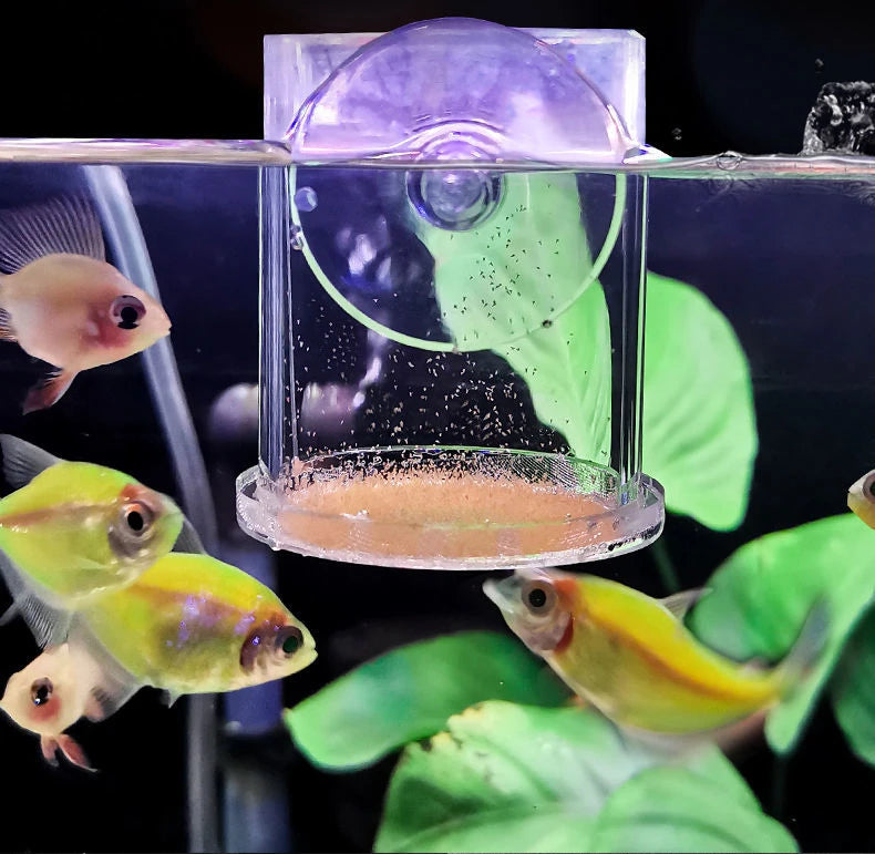 Clear Acrylic Aquarium Fish Feeder Anti-drift Shrimp Egg Fish Food Feeding Ring Betta Fish Tank Feeding Cup Aquarium Accessories