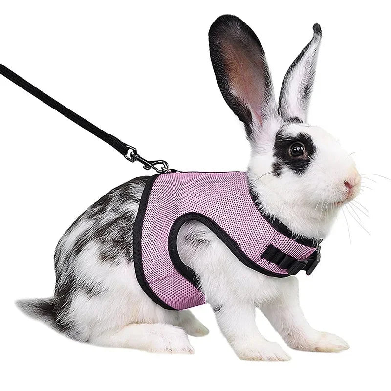 Mesh Breathable Ferret Bunny Harness Leash Set for Small Animals Rabbit Hamsters Summer Walking Pet Lead Pet Accessories