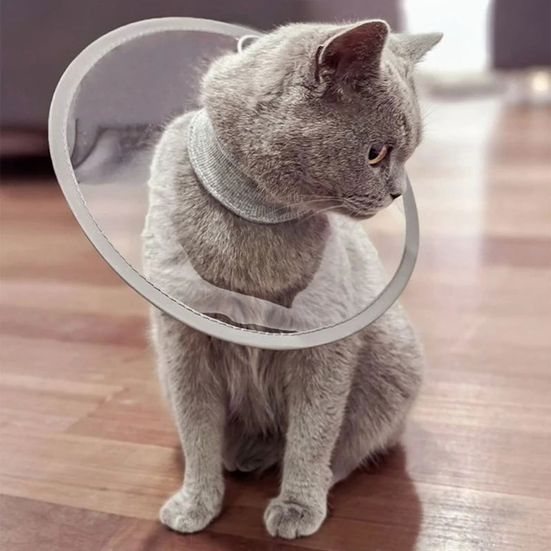 Comfortable Pet Recovery Clear Cone Collar Multiple Sizes Adjustable Recovery Collar Soft For Pet Dog Cats