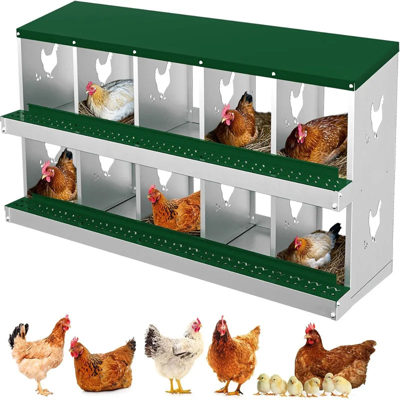 Nesting Boxes for Chickens, Compartment Chicken Nesting Box, Metal Chicken Laying Boxes with Perch, Secure Lid, Versatile Wall