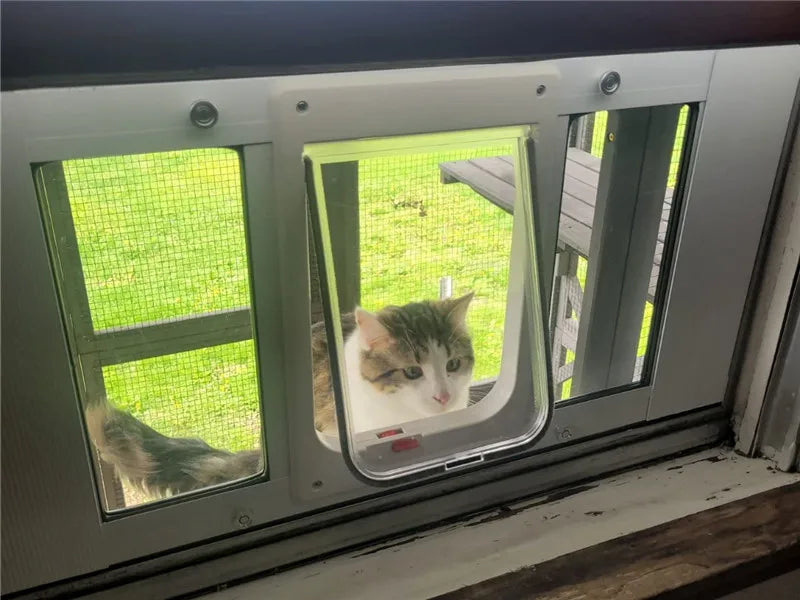 Outdoor Cat Enclosure Large Walk in Cat Kennel Kitten Cage with Platforms and Small Houses
