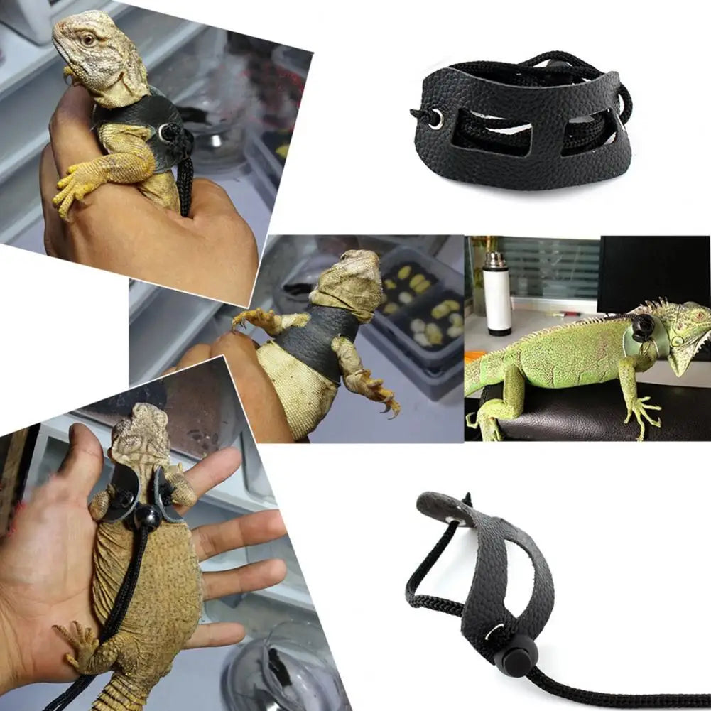 1 Set Lizard Traction Rope Adjustable Soft Reptile Chest Harness Comfortable Pet Reptile Bearded Dragon Harness Pet Supplies