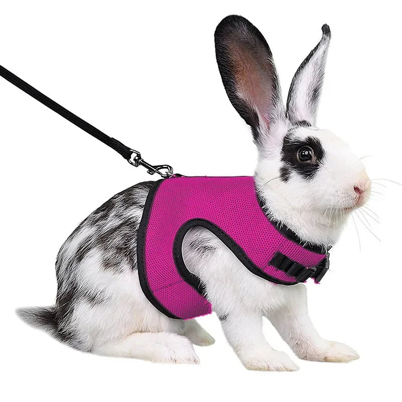 Mesh Breathable Ferret Bunny Harness Leash Set for Small Animals Rabbit Hamsters Summer Walking Pet Lead Pet Accessories