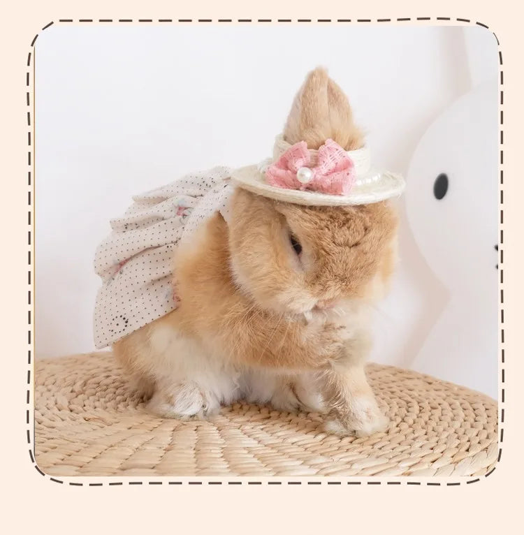 Fashion Rabbit Guinea Pigs Clothes Romantic Rose Princess Dress Set for Little Animals Bunny Chinchillas Suit Rabbit Supplies