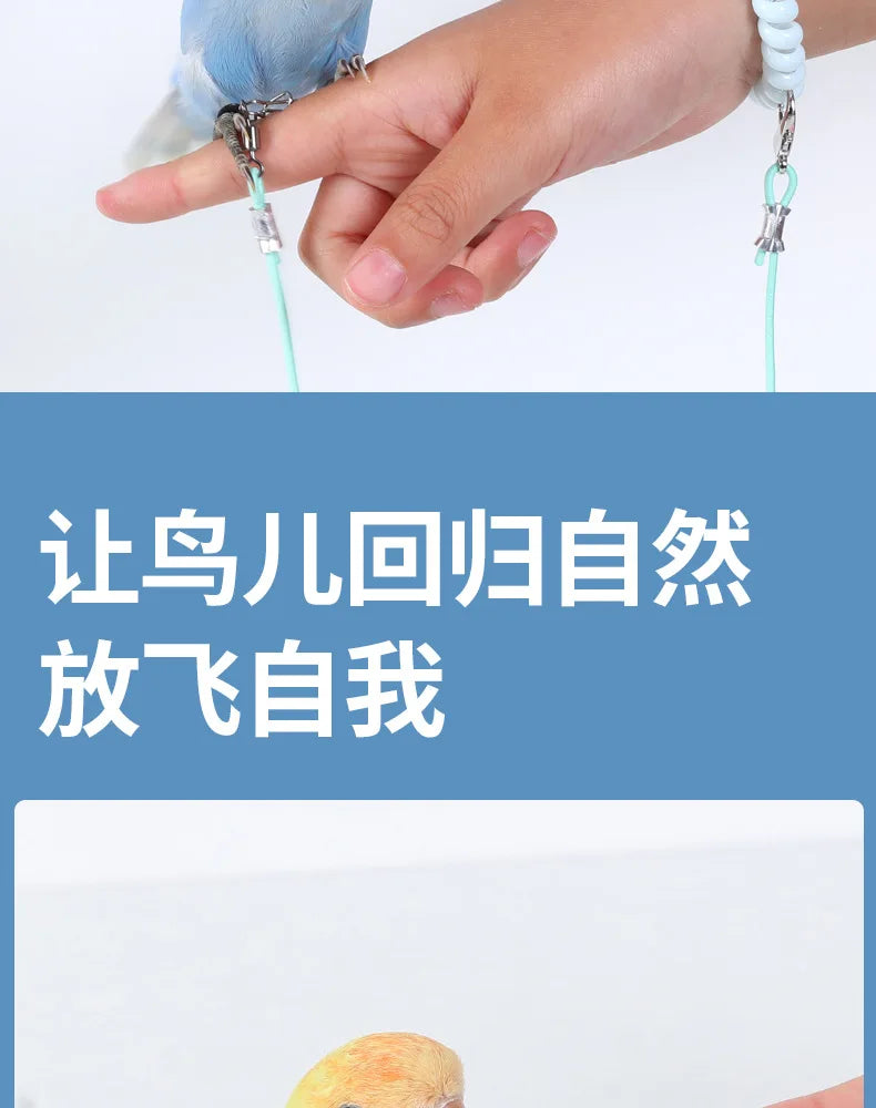 Parrot Bird Flying Training Leash Ultra-light Flexible Rope Anti-bite Leg Ring Harness Outdoor Macaw Cockatiel Starling