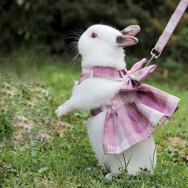 Rabbit Traction Rope Adult Lop-eared Bunny Outing Tools Bunny Walking Accessories College Style Photo Clothes Small Pet Supplies