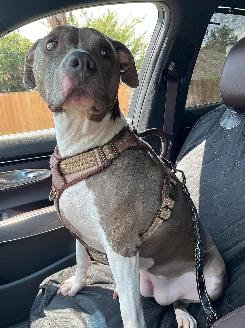 Dog Car Seat Covers 100% Waterproof Pet Cat Dog Carrier Mat Seat Cover for Cars Trucks and SUV Front Seat