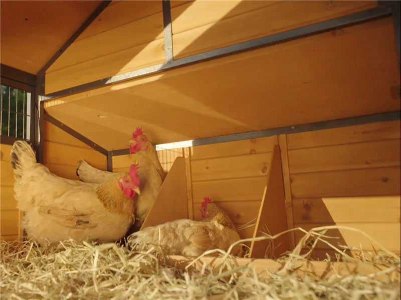 Large Chicken Coop with Metal Frame Mobile Hen House Poultry Cage with Wheels for 4-6 Chickens 85" L