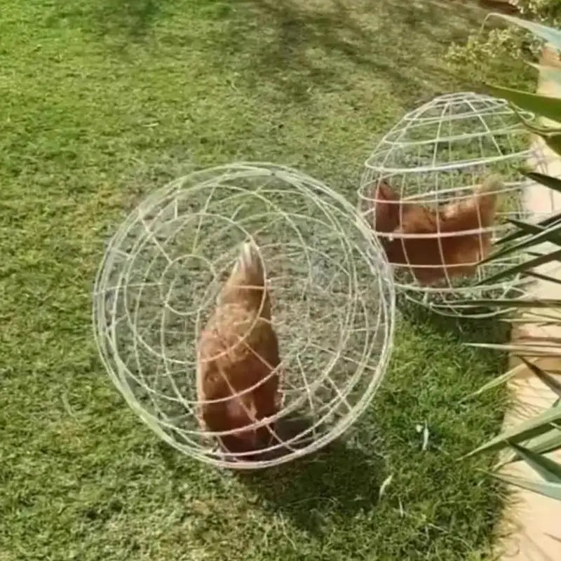 3Pieces Chicken Ball Cage PVC Movable Spherical Chicken Cage Round Rabbit Cage Can Roll And Walk To Feed Free Range Chicken Cage