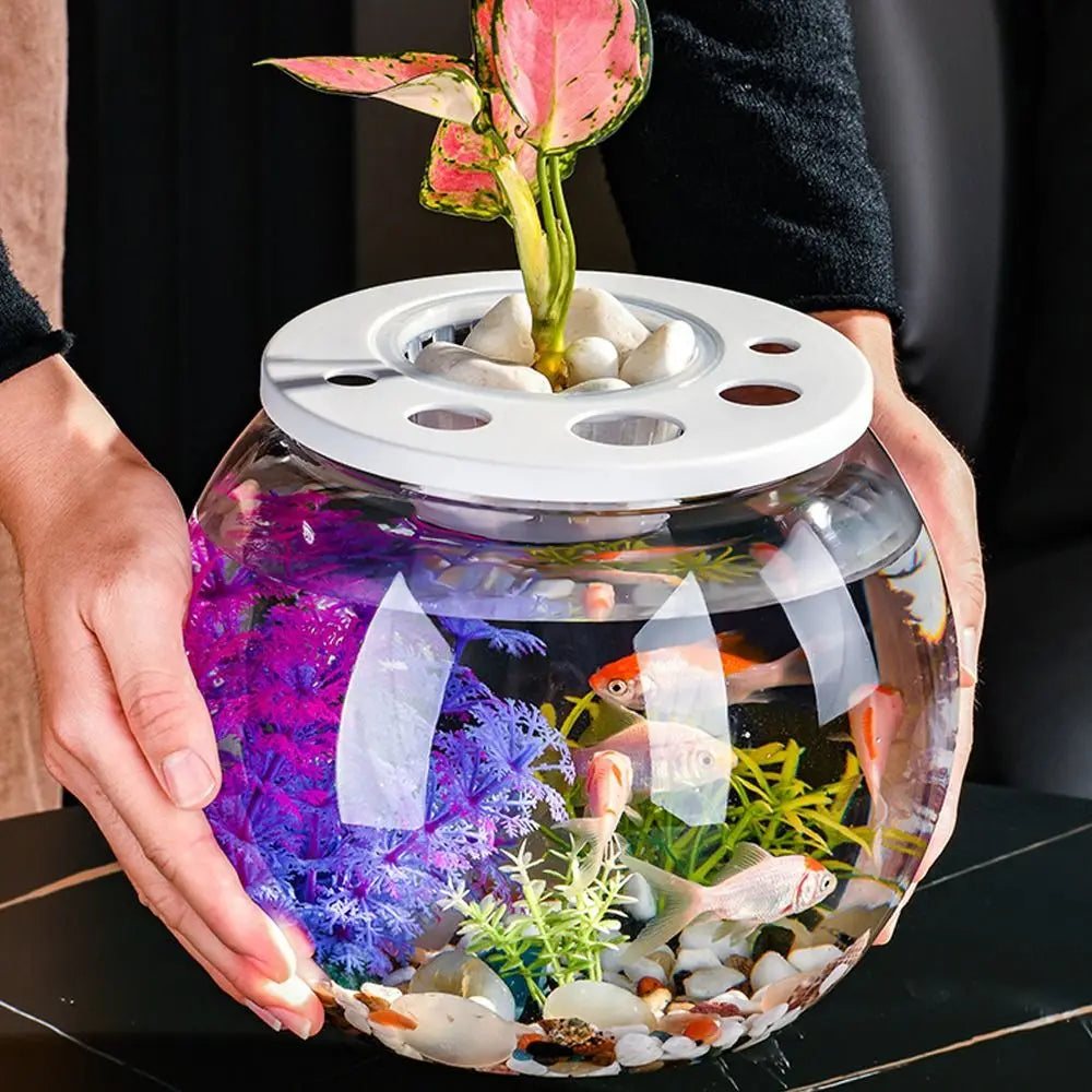 Miniature Landscape Transparent Small Clear Fish Tank Plastic Shatterproof Turtle Aquarium With Lid Goldfish Tank Home Decor