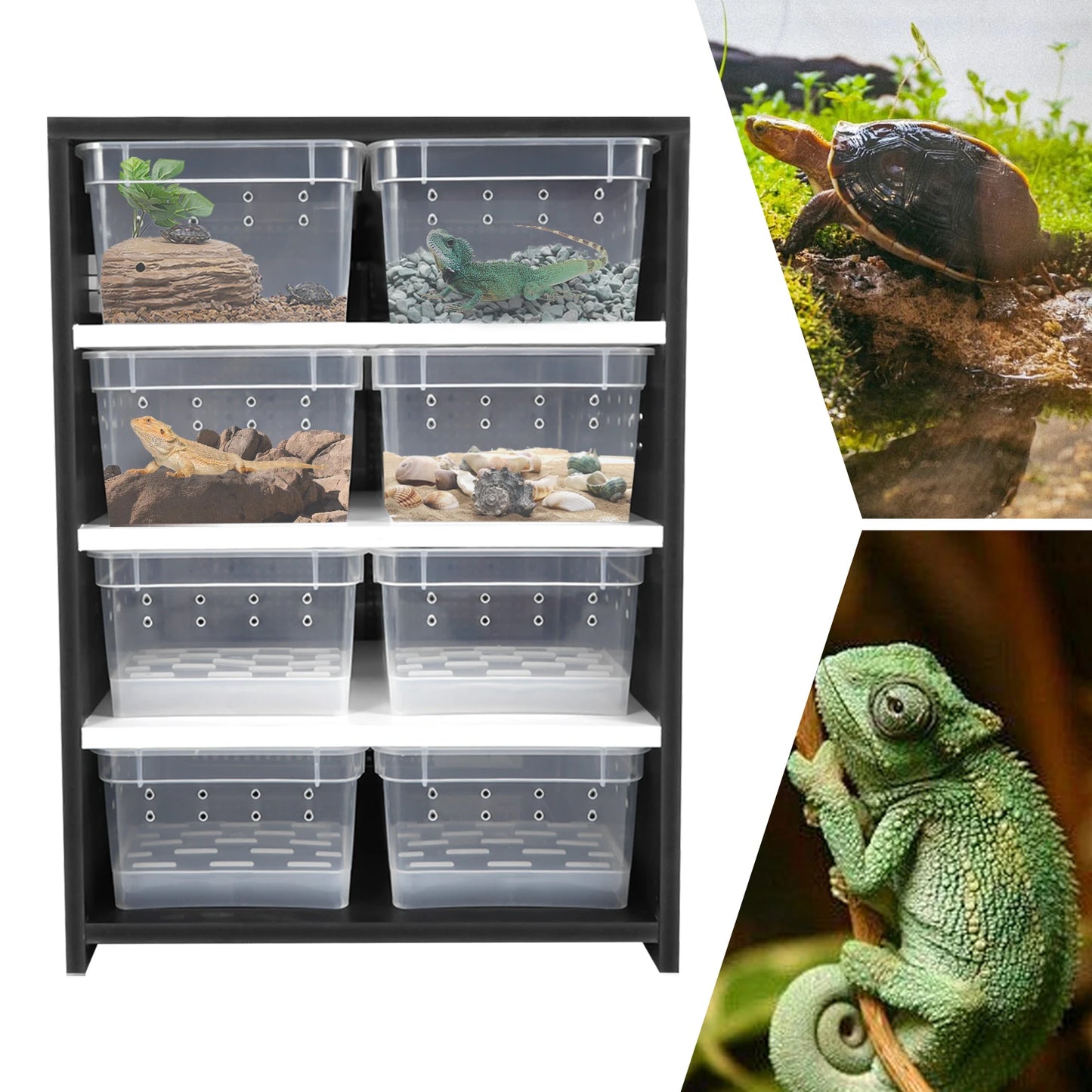 Reptile Breeding Cabinet with 8 Clear Boxes, 25W Heating Pad, Thermometer, for Spiders, Lizards & Small Reptiles, Space-Saving