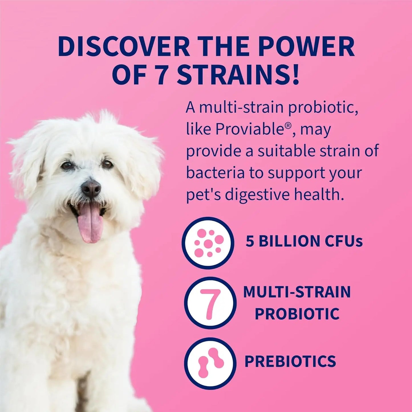 80 Count Proviable Digestive Health Supplement Multi-Strain Probiotics for Cats and Dogs - with 7 Strains of Bacteria