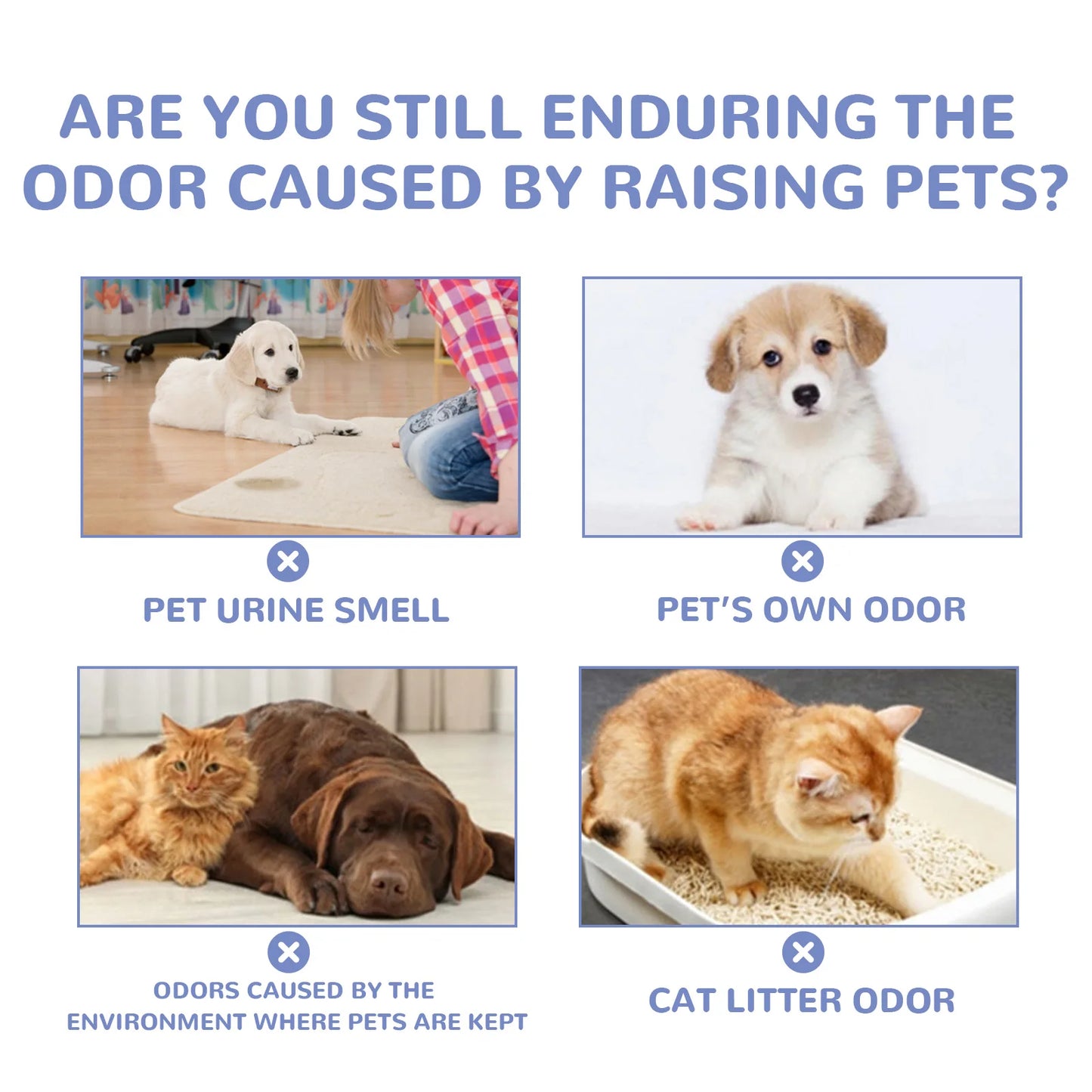 2pcs Pet Deodorant Gel + Potty Inducer For Puppy Training, Fresh And Deodorant For Cat & Dog Body Nest Air, Harmless To Pet